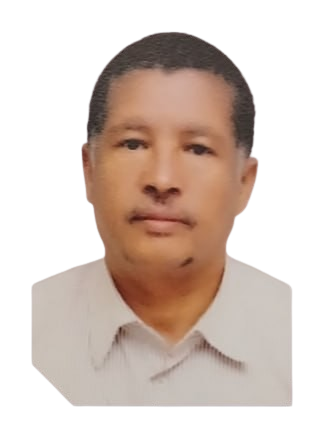 Partnerships Director